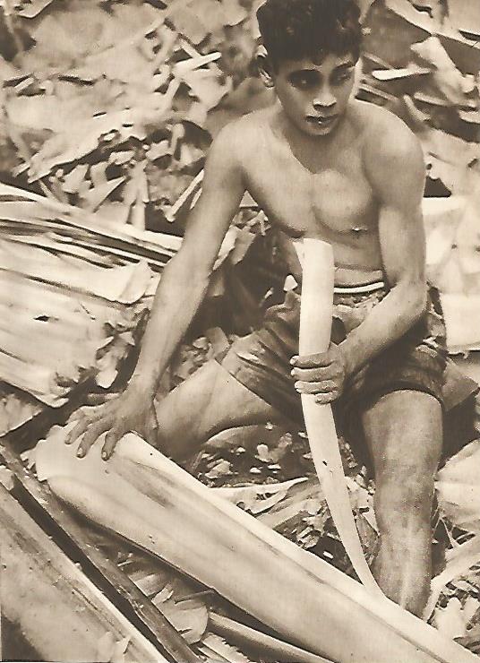 LAMINA GEOGRAFIA 0069: Hombre de Borneo del Norte desbastando cañamo Indonesia