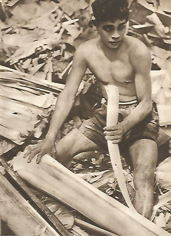 LAMINA GEOGRAFIA 0069: Hombre de Borneo del Norte desbastando cañamo Indonesia
