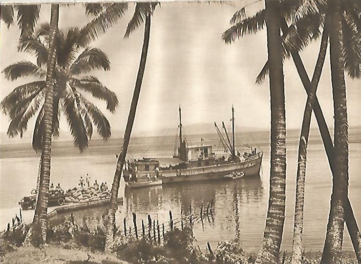 LAMINA GEOGRAFIA 0074: Islas Fidji