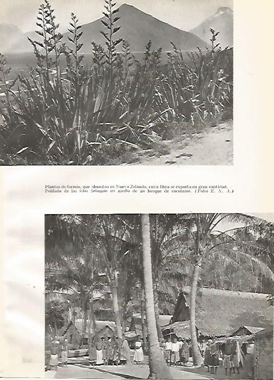 LAMINA GEOGRAFIA 0080: Plantas de tormio en Nueva Zelanda y poblado de las Islas Salomon