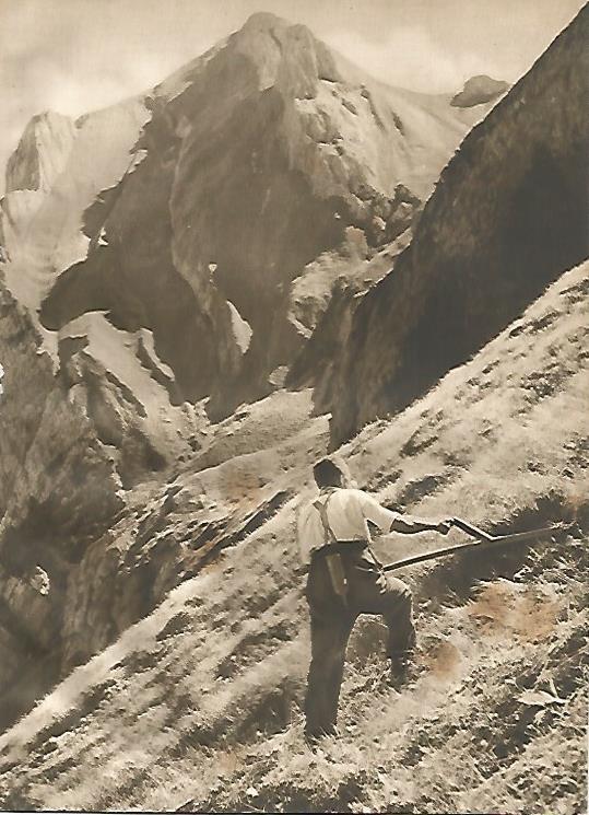 LAMINA GEOGRAFIA 0106: Los Alpes