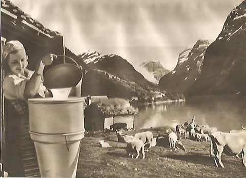 LAMINA GEOGRAFIA 0109: Industria de la leche en Noruega