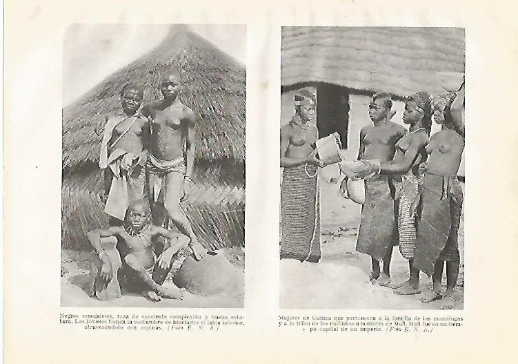 LAMINA GEOGRAFIA 0148: Hombres de Senegal y mujeres de Guinea