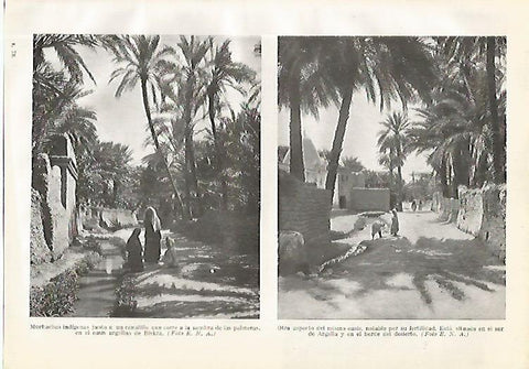 LAMINA GEOGRAFIA 0163: Mujeres en el oasis de Biskra Argelia