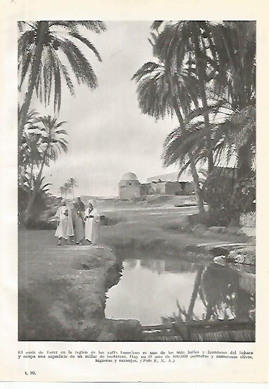 LAMINA GEOGRAFIA 0167: Oasis de Tozeur Tunez
