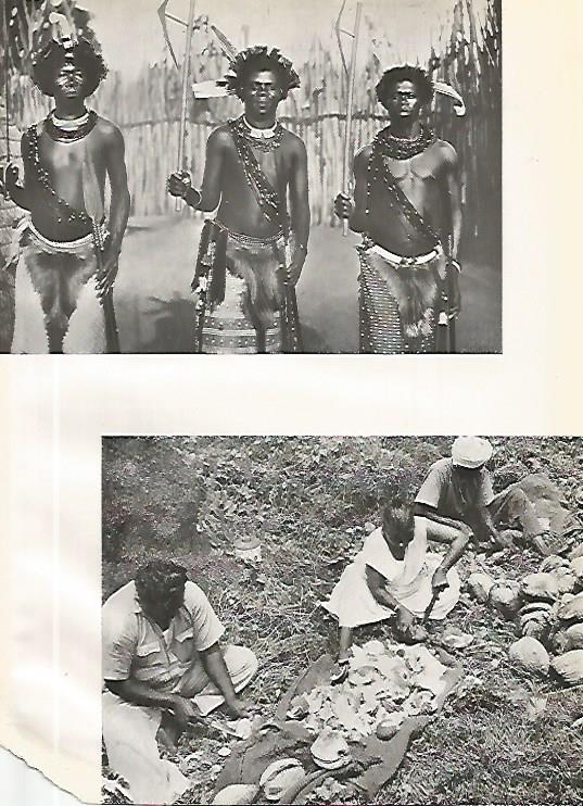 LAMINA GEOGRAFIA 0178: Pobladores de las Islas Fidji