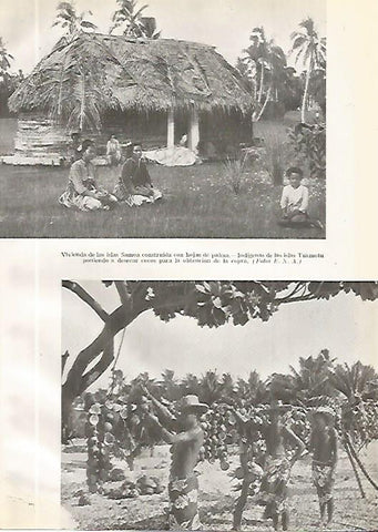 LAMINA GEOGRAFIA 0180: Islas Samoa