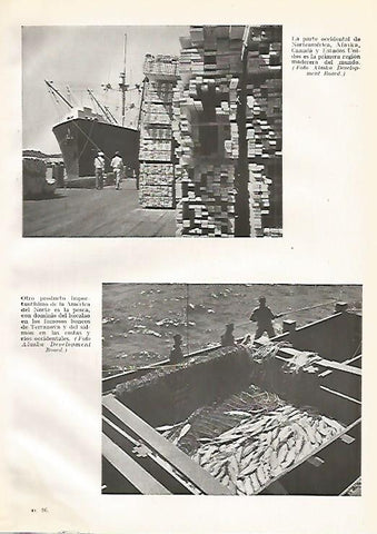 LAMINA GEOGRAFIA 0189: Produccion de madera y pesca de bacalao en Estados Unidos