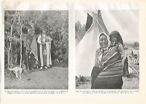 LAMINA GEOGRAFIA 0194: Medico assiniboina y madre e hija cree Estados Unidos
