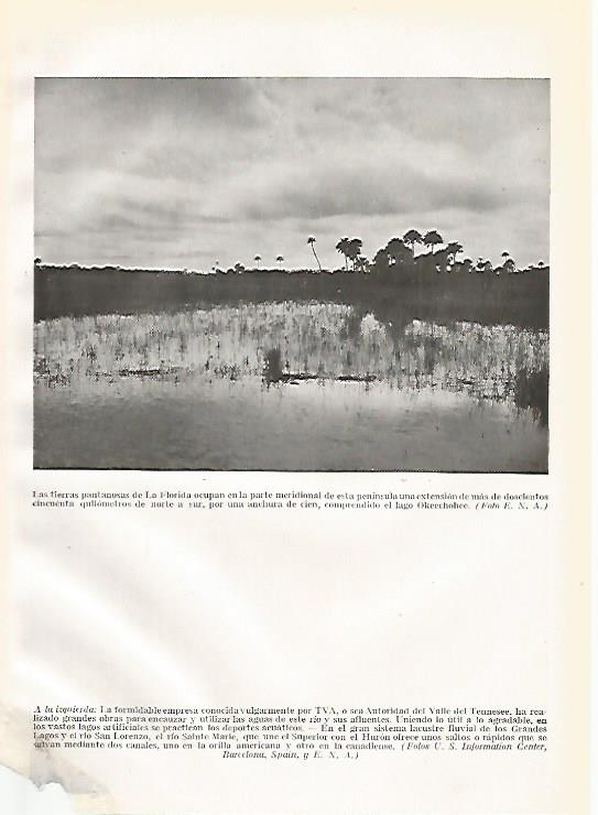 LAMINA GEOGRAFIA 0200: Pantanos en Florida Estados Unidos