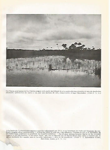 LAMINA GEOGRAFIA 0200: Pantanos en Florida Estados Unidos