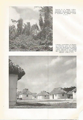 LAMINA GEOGRAFIA 0218: Jungla y cabañas de Honduras 