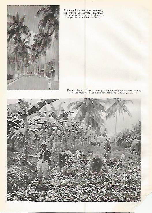 LAMINA GEOGRAFIA 0229: Vista de Port Antonio y recoleccion de bananos en Jamaica