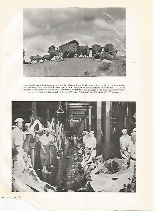 LAMINA GEOGRAFIA 0303: Monumento a la Carreta en Montevideo e industria de la carne de Uruguay
