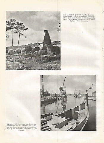 LAMINA GEOGRAFIA 0393: Ovejas en Portugal y marinero del Sacavem