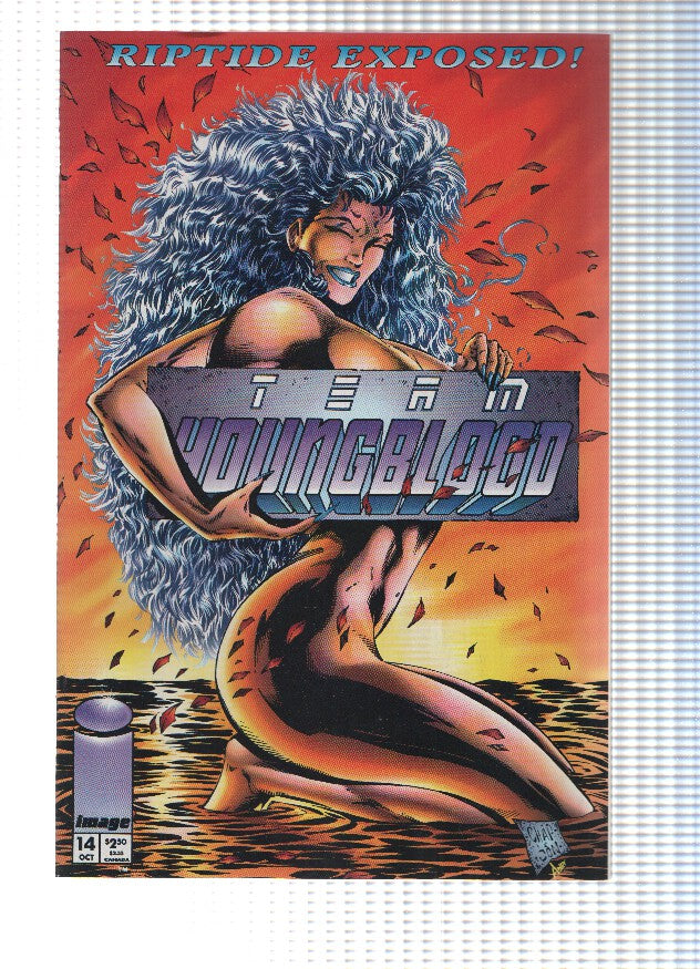 TEAM YOUNGBLOOD, Volume 1: Numero 14 (Image)