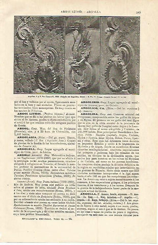 LAMINA ESPASA 12764: Tipos de argollas
