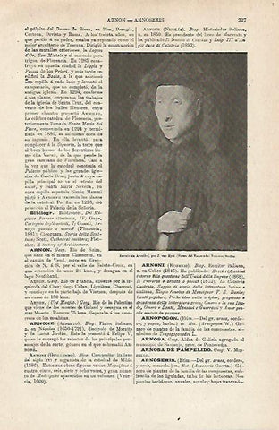 LAMINA ESPASA 12815: Retrato de Arnolfini por Van Eyck