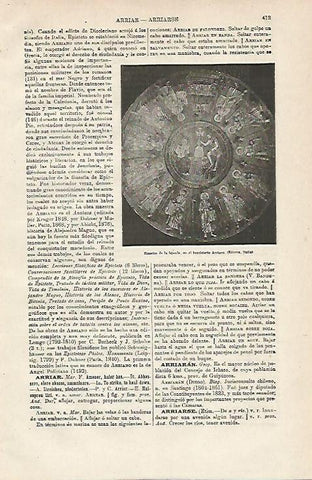 LAMINA ESPASA 12834: Mosaico de la boveda en Ravena Italia