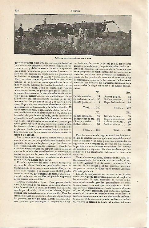 LAMINA ESPASA 12837: Trilladora americana para el arroz