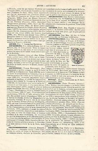 LAMINA ESPASA Alemania 12875: Escudo de Ascherslenen Alemania