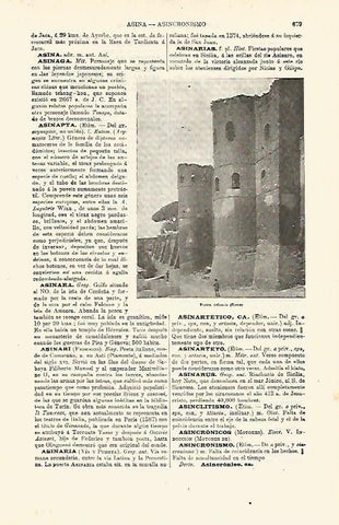 LAMINA ESPASA 12899: Puerta Asinaria en Roma