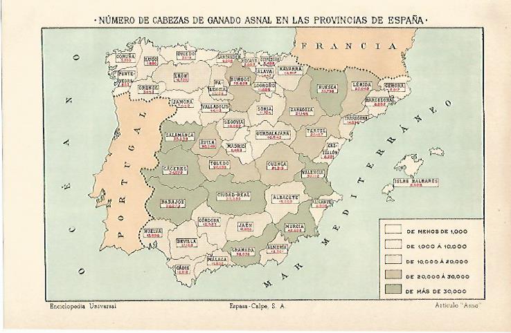 LAMINA ESPASA 12904: Mapa de España de ganado asnal