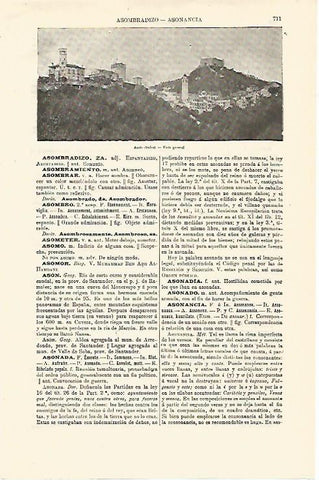 LAMINA ESPASA 12906: Vista de Asolo Italia