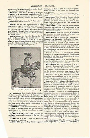 LAMINA ESPASA 12936: Atabalero a caballo