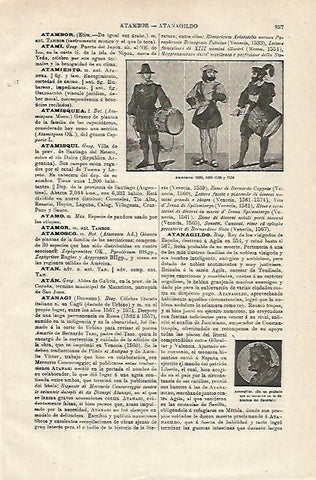LAMINA ESPASA 12944: Atambores