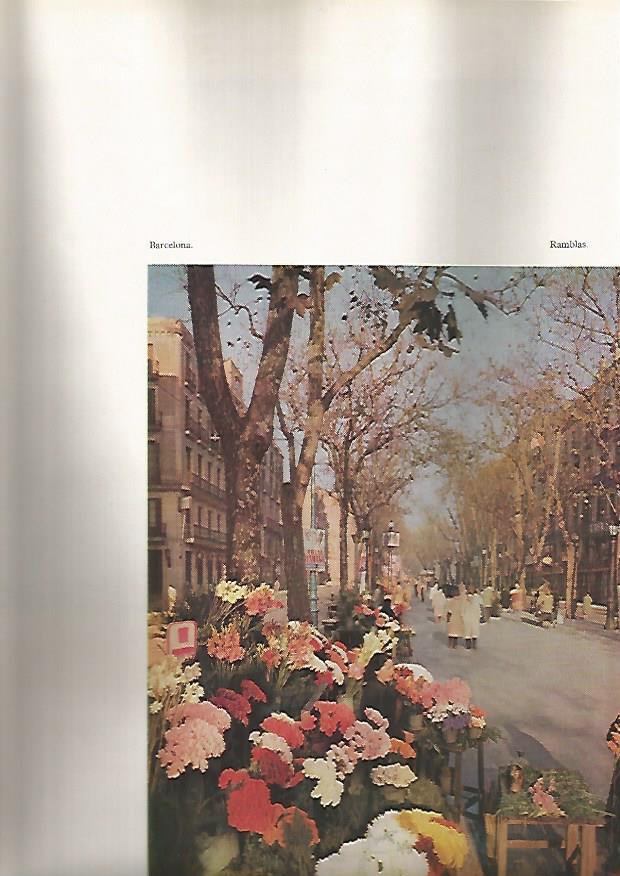 LAMINA 4891: BARCELONA LAS RAMBLAS