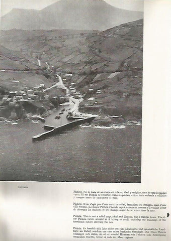 LAMINA 4920: CIERVANA (VIZCAYA)