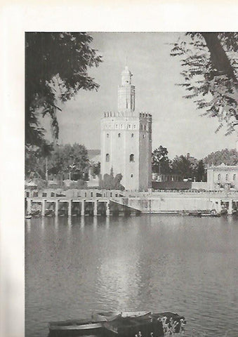 LAMINA 4966: SEVILLA LA TORRE DE ORO
