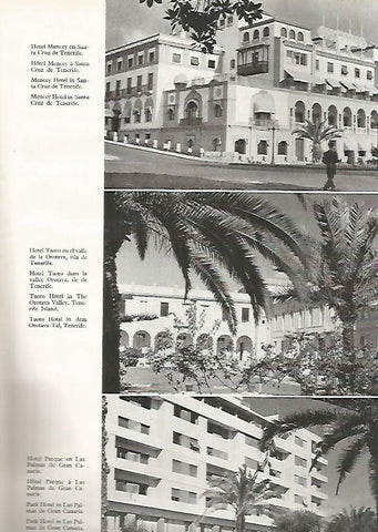 LAMINA 4986: SANTA CRUZ DE TENERIFE HOTELES MENCEY TAORO Y PARQUE
