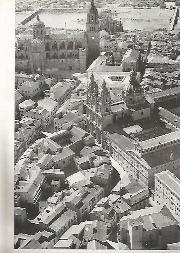 LAMINA 4991: SALAMANCA CATEDRAL (VISTA AEREA)