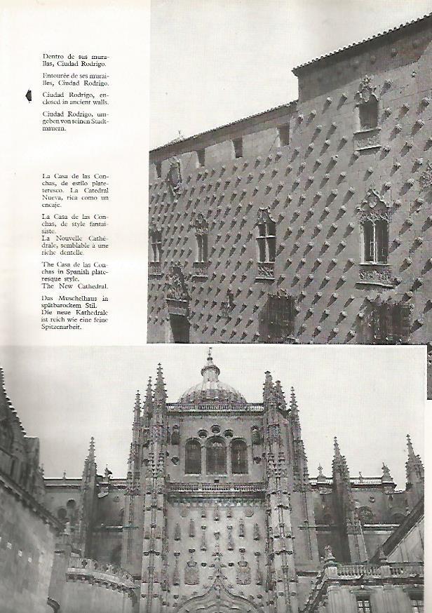 LAMINA 4992:SALAMANCA CASA DE LAS CONCHAS