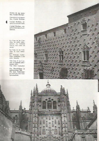 LAMINA 4992:SALAMANCA CASA DE LAS CONCHAS