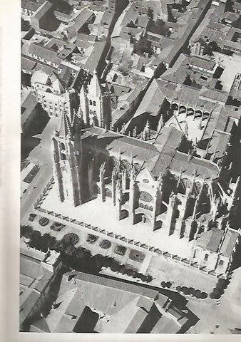 LAMINA 4996: CATEDRAL DE LEON VISTA AEREA