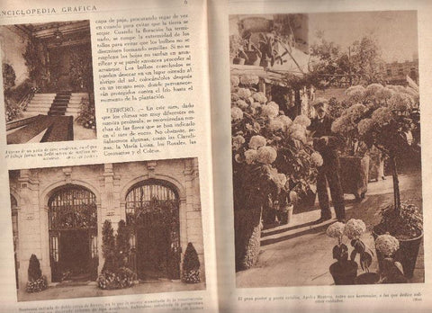 Enciclopedia grafica: Las flores