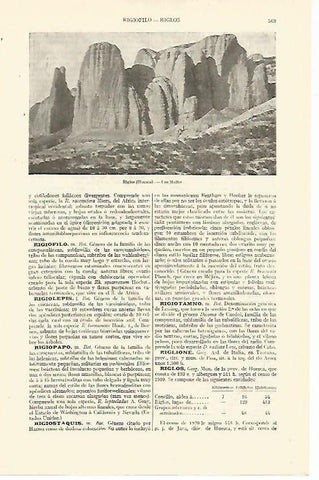 LAMINA ESPASA 13632: Los Mallos en Riglos Huesca