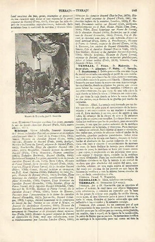 LAMINA ESPASA 13881: Muerte de Bayard por Neuville