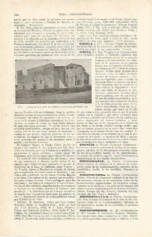 LAMINA ESPASA 14128: Basilica de Kalbloze Siria