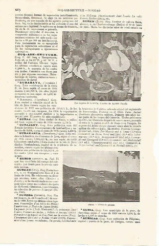 LAMINA ESPASA 14155: Los regalos de la novia por Sureda