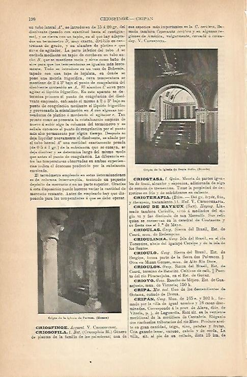 LAMINA ESPASA 14194: Cripta de la iglesia de Santa Sofia en Dresde