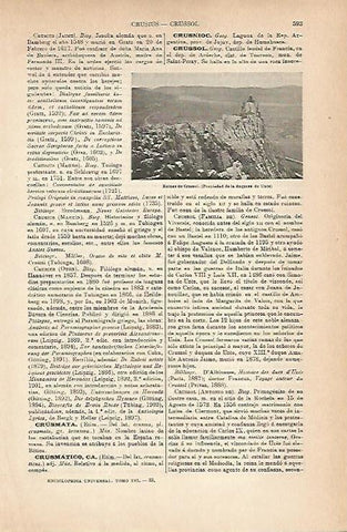 LAMINA ESPASA 14268: Crussol Francia
