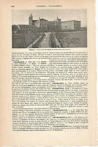 LAMINA ESPASA 14416: Colegio Nuestra Señora del Recuerdo en Chamartin