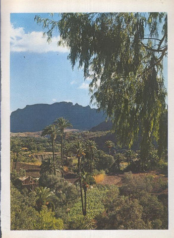 Gran Canaria: Lamina 42: Crater Los Tiraxanas