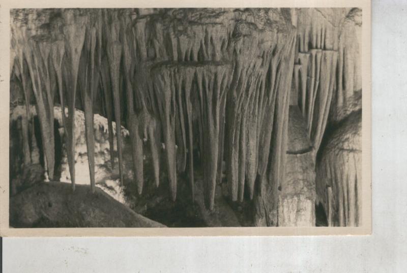 Postal 011282: La gruta de Diana en la cueva Campanet de Mallorca