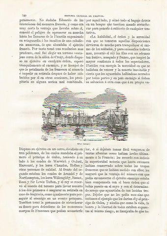 LAMINA 3465: Rouan