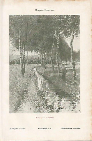 LAMINA ESPASA 8153: El arroyo de las truchas de F. Bergen